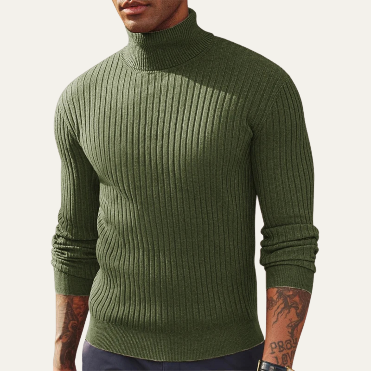 The Tavolara Men’s Slim Fit Turtleneck Ribbed Knit Sweater