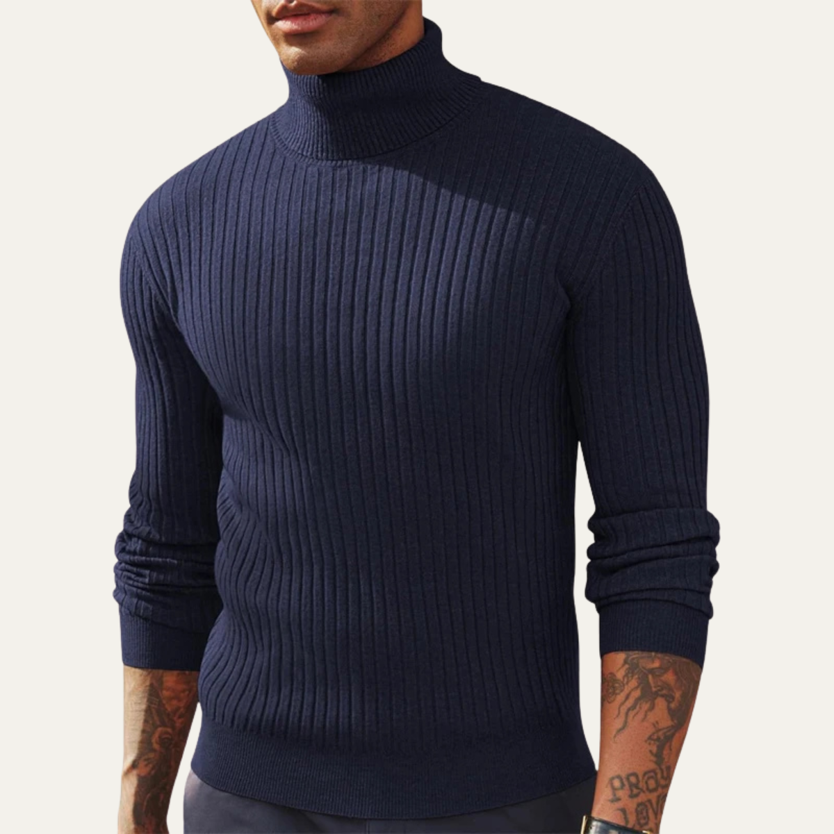 The Tavolara Men’s Slim Fit Turtleneck Ribbed Knit Sweater