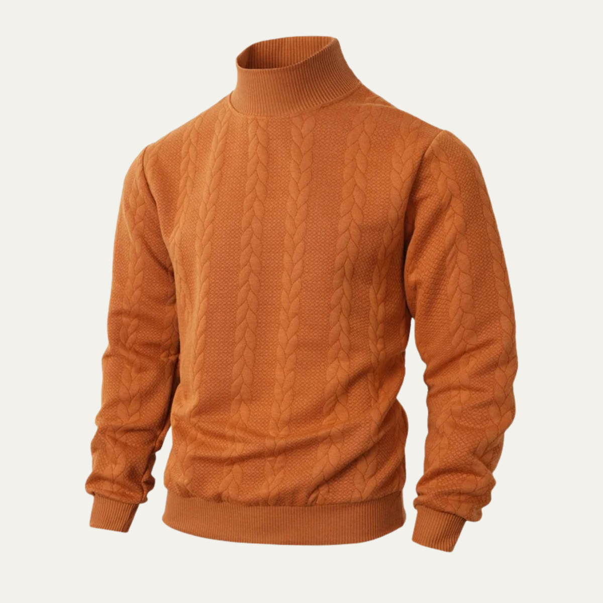 The Paestum Men’s Warm Ribbed Cable Knit Turtleneck Sweater