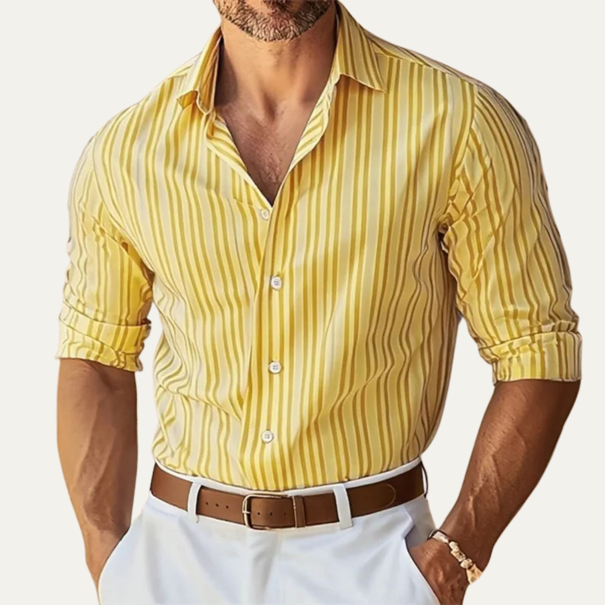 The Garda Men’s Slim Fit Striped Elegant Dress Shirt