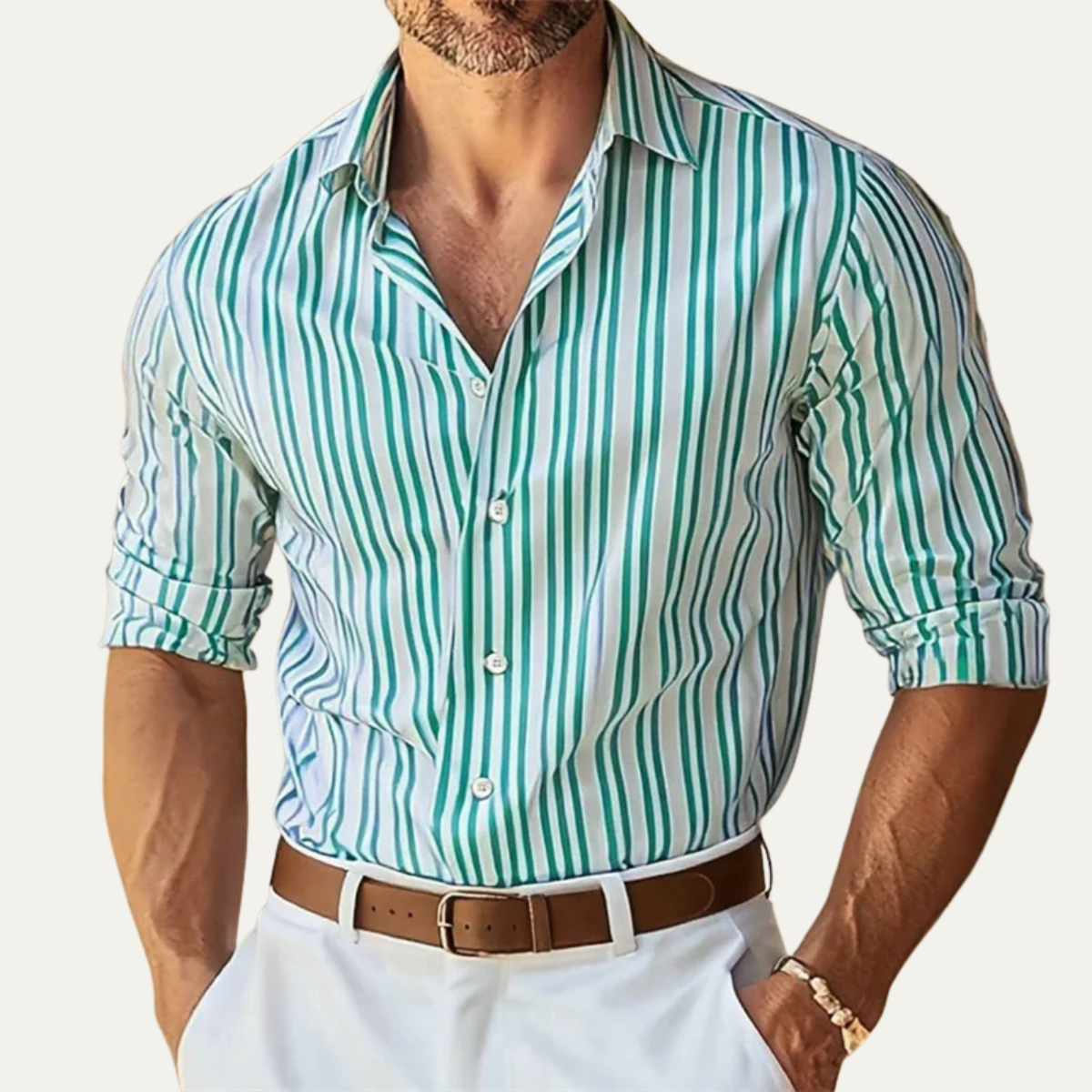 The Garda Men’s Slim Fit Striped Elegant Dress Shirt