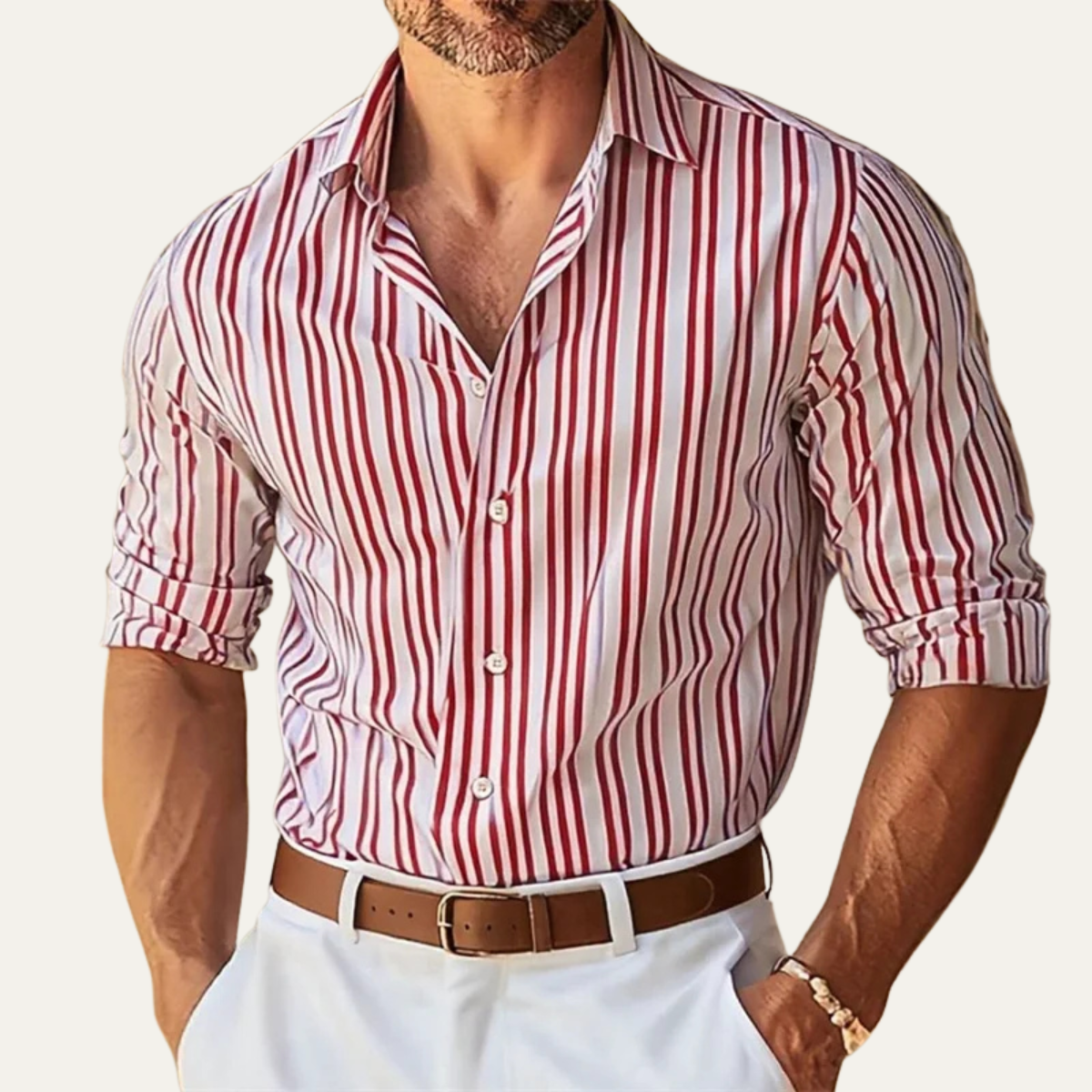 The Garda Men’s Slim Fit Striped Elegant Dress Shirt