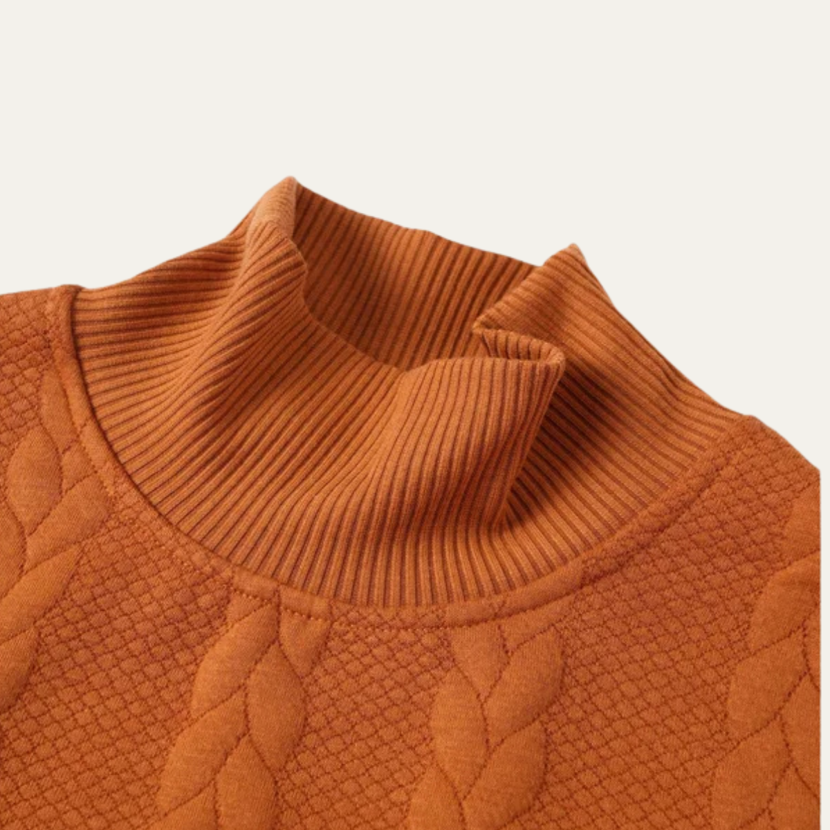 The Paestum Men’s Warm Ribbed Cable Knit Turtleneck Sweater