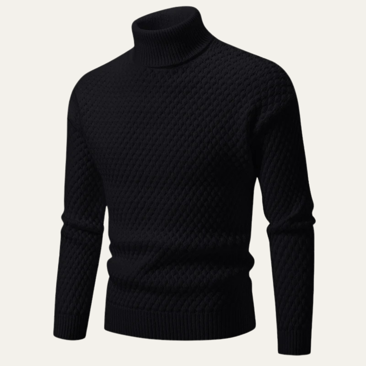 The Pordenone Men’s Textured Knitted Turtleneck Sweater