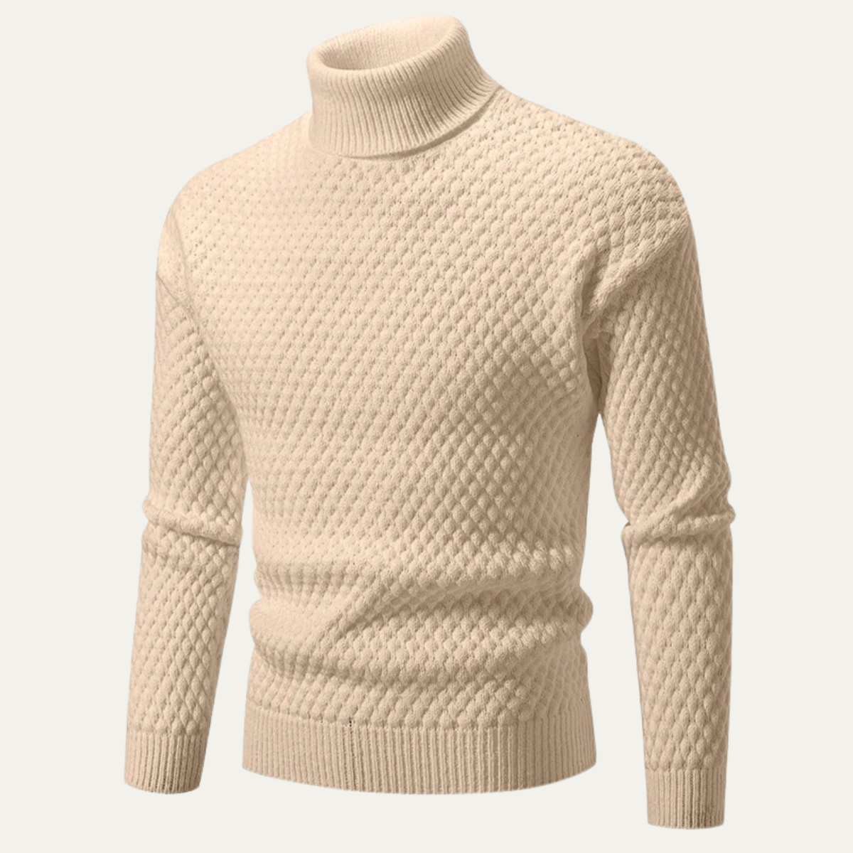 The Pordenone Men’s Textured Knitted Turtleneck Sweater